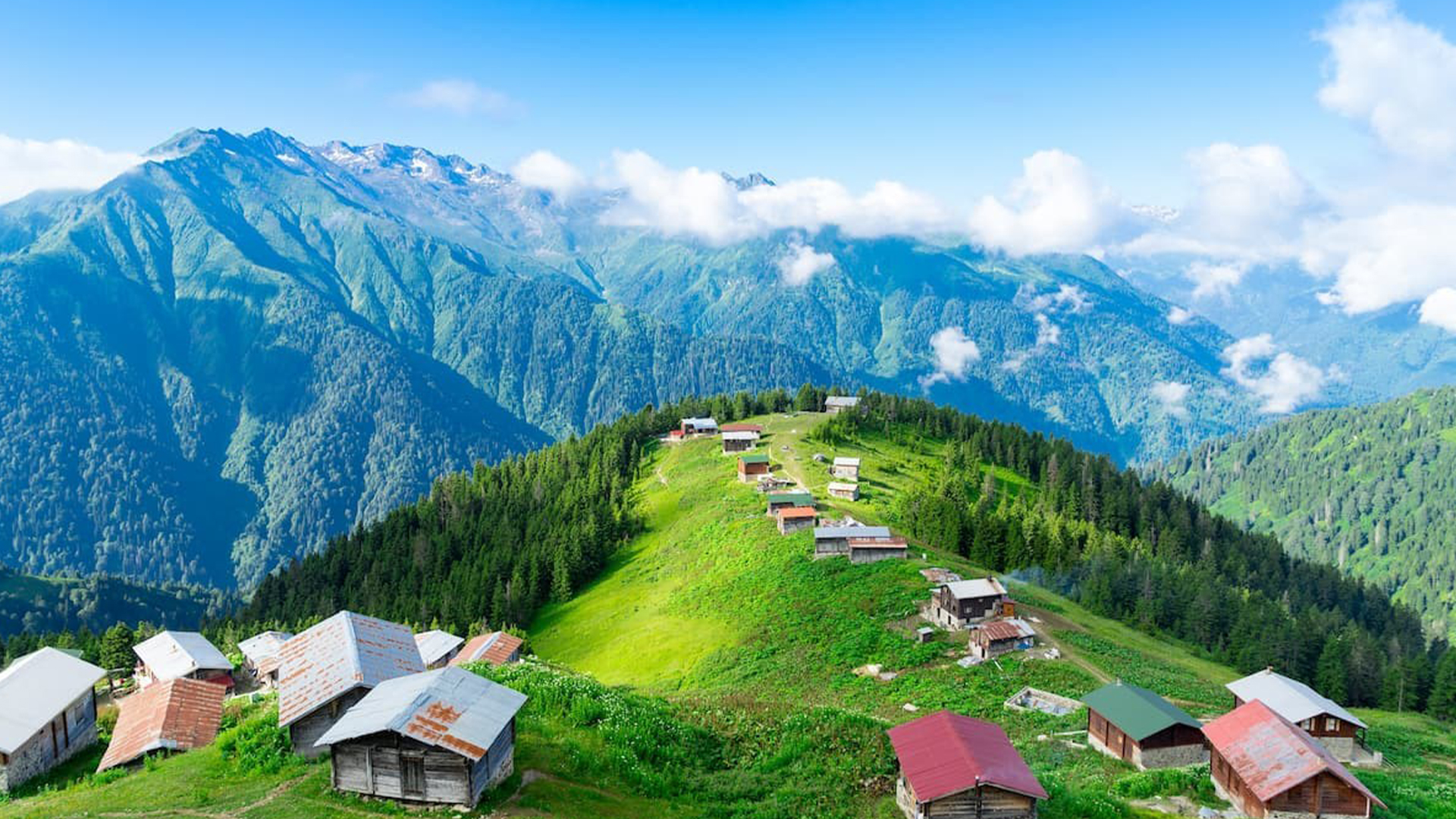 Türkiye'nin En Güvenli İlleri Açıklandı: Rize Zirvede!